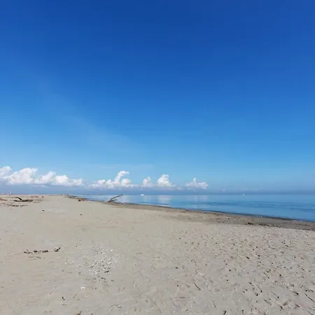 公寓 Flat Con Balcone E Parcheggio!