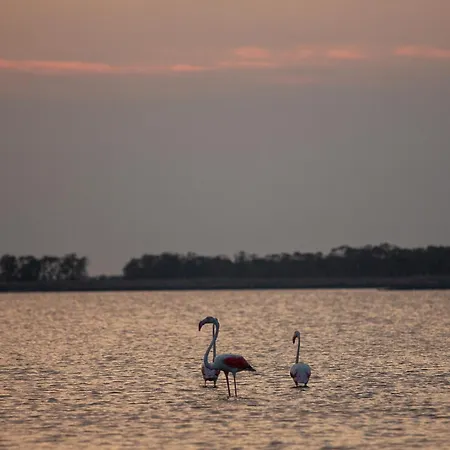 Flat Con Balcone E Parcheggio! 公寓 *