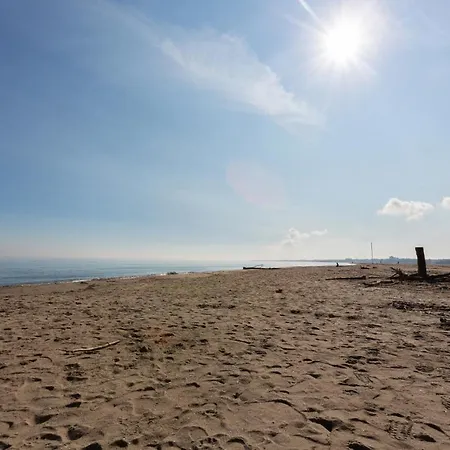 Apartment Flat Con Balcone E Parcheggio! Llido Degli Estensi