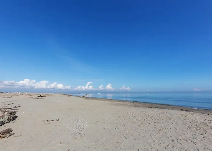 Apartament Flat Con Balcone E Parcheggio!