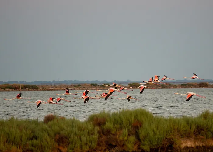Appartement Flat Con Balcone E Parcheggio! *
