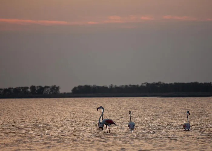 Flat Con Balcone E Parcheggio! Apartament *